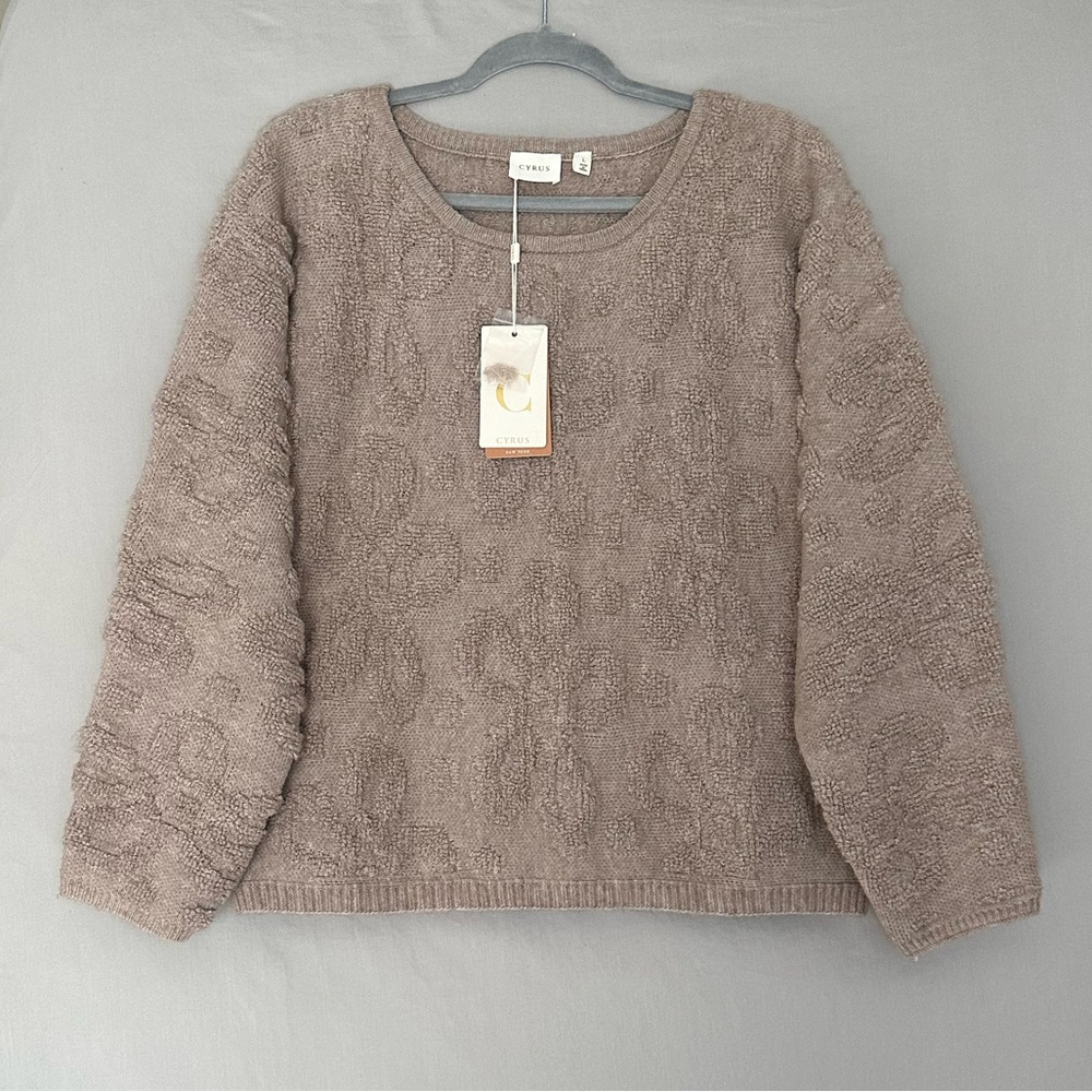 Cyrus Textured Knit Sweater Relaxed Silhouette Size L NWT